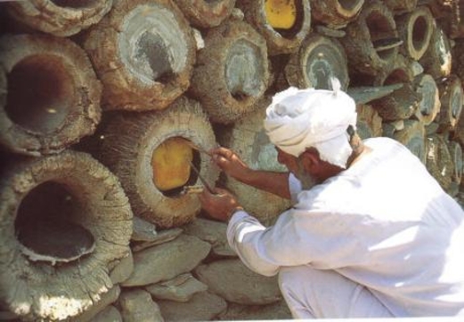 ذهب اليمن السائل مُهدَّد بالنضوب.. هل تقضي الحرب على أجود أنواع العسل في العالم؟