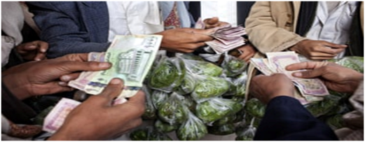 الثلاثاء المقبل .. انطلاق المؤتمر العلمي حول أضرار القات بجامعة صنعاء