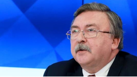 مندوب روسيا: قرار واشنطن إعادة الاستثناءات من العقوبات ضد طهران سيسرع عودتهما إلى الصفقة النووية