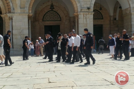 فلسطين .. إصابة 3 أشخاص بينهم أطفال برصاص الاحتلال في مخيم جنين ومستوطنين يقتحمون المسجد الأقصى فلسطين .. إصابة 3 أشخاص بينهم أطفال برصاص الاحتلال في مخيم جنين ومستوطنين يقتحمون المسجد الأقصى