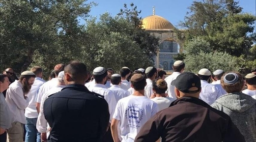 عشرات المستوطنين يقتحمون “الأقصى”