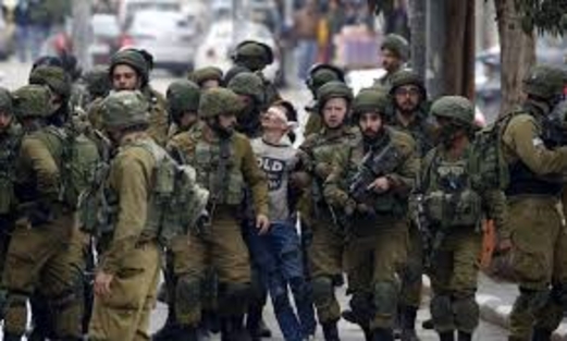 قوات الاحتلال تعتقل 13 فلسطينيا من الضفة بينهم أطفال قوات الاحتلال تعتقل 13 فلسطينيا من الضفة بينهم أطفال