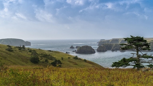 الرئاسة الروسية ترفض وصف خارجية اليابان جزر الكوريل بأنها أرض محتلة
