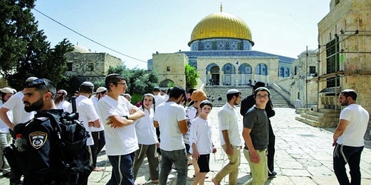 المئات من قطعان المستوطنين الصهاينة يجددون اقتحامهم للأقصى المبارك