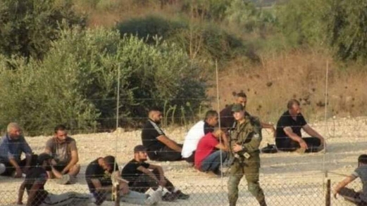 قوات الاحتلال تعتقل أكثر من 50 عاملًا فلسطينيًّا من سلفيت