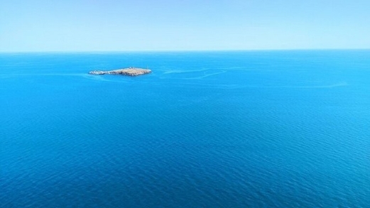 الأمم المتحدة تمتنع عن التعليق على قرار روسيا الانسحاب من جزيرة “الأفعى”