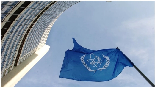 رئيس الوكالة الدولية للطاقة الذرية: نواصل الحوار مع روسيا حول الوضع في أوكرانيا