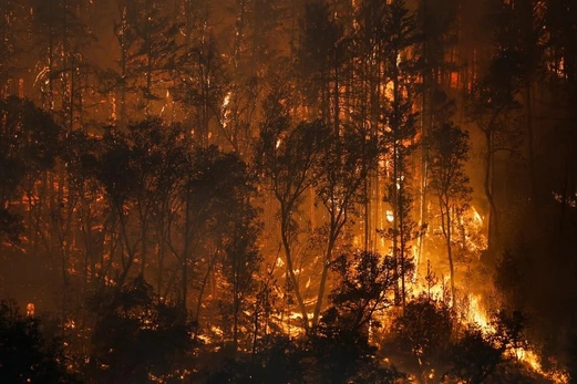 حريق ضخم ينتشر بسرعة في شمالي ولاية كاليفورنيا الأمريكية