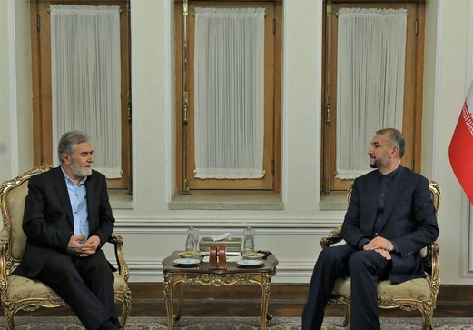 عبداللهيان: المقاومة الإسلامية ستدافع بقوة عن حقوق شعوب المنطقة وفلسطين