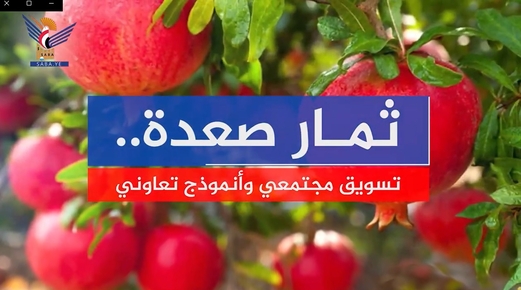 ثمار صعدة .. تسويق مجتمعي وأنموذج تعاوني (فيديو)