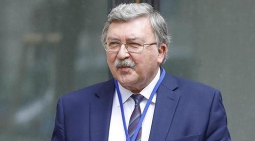 أوليانوف: اقتراحات إيران في مفاوضات فيينا معقولة تماماً