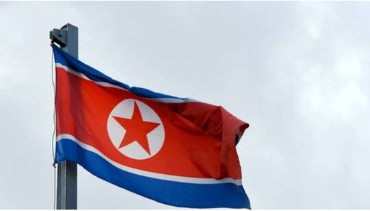 بيونغ يانغ تصف المقررة الخاصة للأمم المتحدة المعنية بحقوق الإنسان بـ”الدمية”