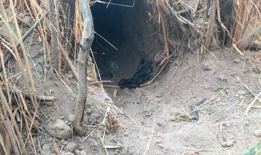 العراق.. الحشد الشعبي يحاصر “دواعش” في مضافات تابعة لهم بصحراء الحضر