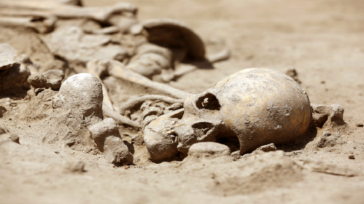 العثور على هيكل بشري في غابة مكسيكية نائية لم يُرَ منذ العصر الجليدي الأخير!