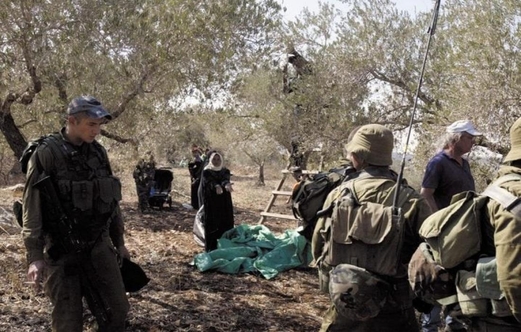 العدو الصهيوني يمنع مزارعين من قطف ثمار الزيتون جنوبي بيت لحم