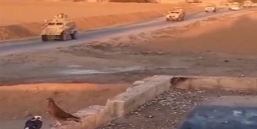 سوريا.. حاجز للجيش يطرد رتلاً للاحتلال الأمريكي في ريف الحسكة