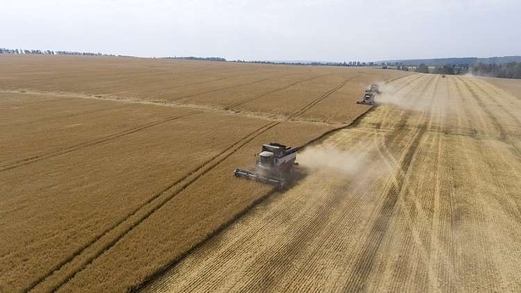 روسيا تتجاوز أوروبا والولايات المتحدة في سوق القمح الدولية روسيا تتجاوز أوروبا والولايات المتحدة في سوق القمح الدولية