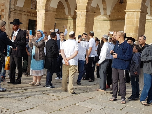 قطعان المستوطنين المتطرفين يجددون اقتحام باحات الأقصى المبارك