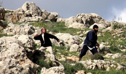  مستوطنون يعتدون على  فلسطينيين ومتضامنين أجانب شمال أريحا