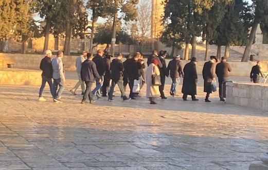 اقتحام جديد لباحات الأقصى المبارك من قبل قطعان المستوطنين الصهاينة