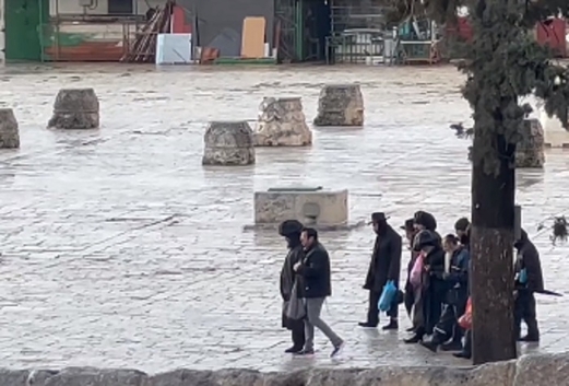 متطرفون يواصلون تدنيس باحات المسجد الأقصى رغم برودة الأجواء