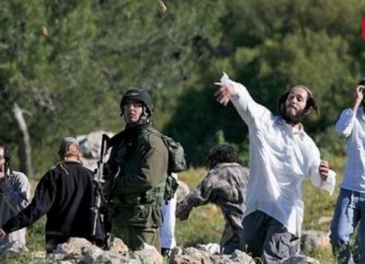 قطعان المستوطنين يواصلون  الاعتداء على الفلسطينيين وممتلكاتهم
