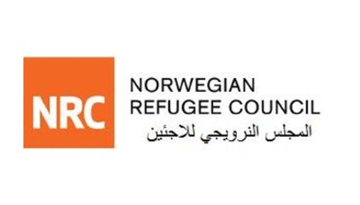 المجلس النرويجي: الدعم العسكري الأمريكي يطيل أمد الأزمة التي لها عواقب وخيمة على اليمن