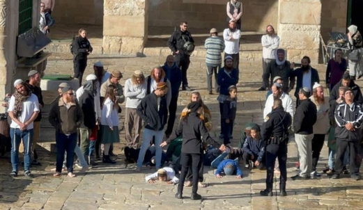 مستوطنون يقتحمون باحات الأقصى وسط دعوات للرباط فيه