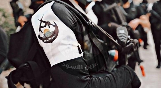 عرين الأسود: لا سبيل للتحرير إلا بالمقاومة والاشتباك المُسلح