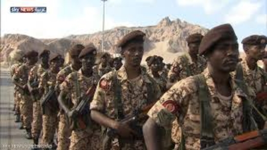 اللجنة الوطنية للمرأة تدين جريمة اغتصاب مرتزق سوداني لامرأة في التحيتا بالحديدة