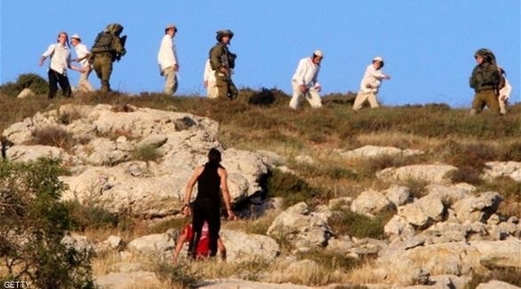 مستوطنون يسرقون عدد من أغنام الفلسطينيين بقرية كيسان شرق بيت لحم