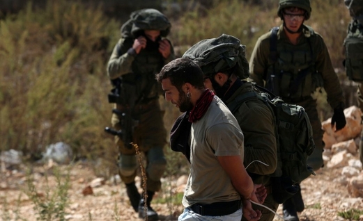 العدو الصهيوني يعتقل مواطنا فلسطينيا وعددا من المتضامنين الأجانب في يطا