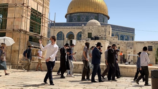 قطعان الصهاينة يدنسون باحات “الأقصى” على شكل مجموعات متتالية