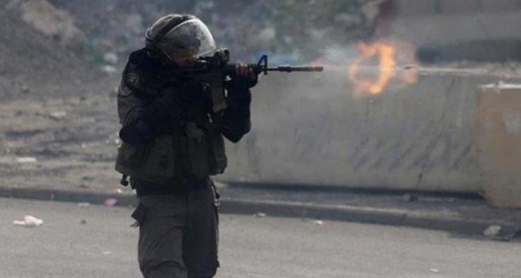 فلسطين المحتلة: إصابة شاب برصاص العدو شرق قلقيلية