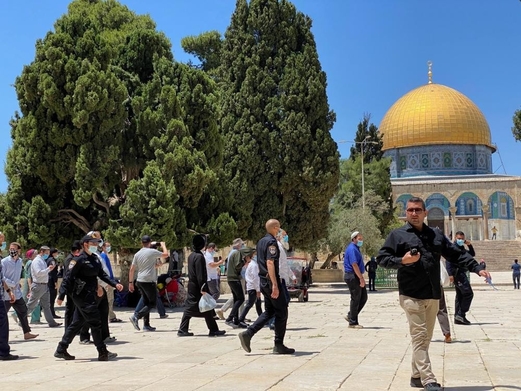 قطعان المستوطنين الصهاينة يقتحمون باحات المسجد الأقصى