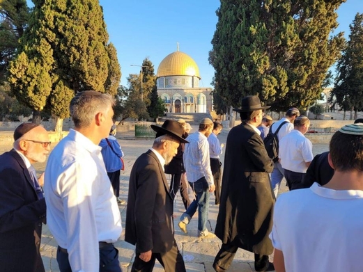 قطعان المستوطنين يجددون تدنيس باحات المسجد الأقصى