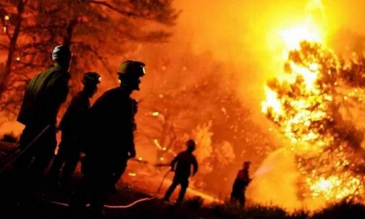 الجزائر تعلن احتواء الحرائق في غاباتها بعد وفاة 34 شخصاً والحاقها اضراراً هائلة