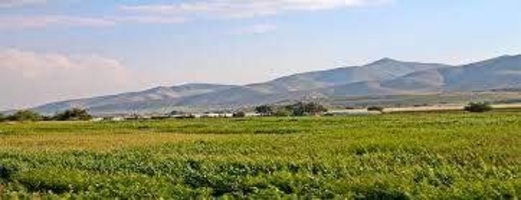 قطعان المستوطنين يُسيجون أراضي فلسطينية في الأغوار الشمالية