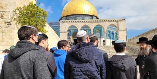 قطعان المستوطنين يقتحمون باحات الأقصى بحراسة مشددة من شرطة العدو