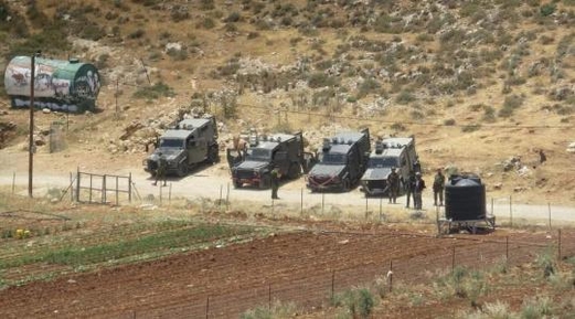 قطعان المستوطنين يقتحمون منطقة “نبع قريوت” في مدينة نابلس