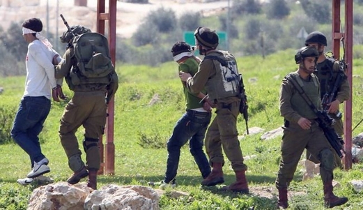 العدو الصهيوني يعتقل شقيقين فلسطينيين غرب جنين
