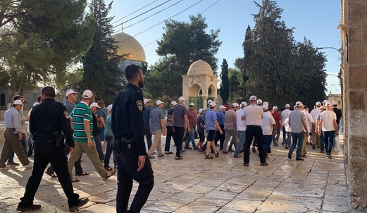 عشرات المستوطنين الصهاينة يقتحمون باحات المسجد الأقصى