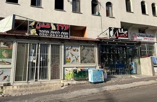 إضراب عام في الداخل الفلسطيني المحتل احتجاجا على العنف والجريمة