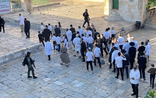 قطعان المستوطنين يقتحمون الأقصى وقوات العدو تشدد إجراءاتها في القدس