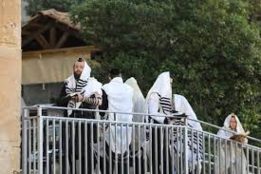 مستوطنون يؤدون طقوسا تلمودية على أراضي الفلسطينيين جنوب الخليل