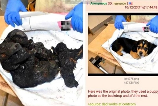 صحفي أمريكي يكشف أكاذيب نتنياهو عن قتل المقاومة الفلسطينية للأطفال