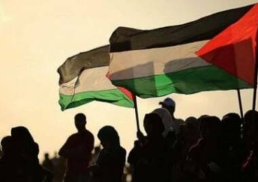 القوى الفلسطينية تشيد بشعوب العالم التي تعبر عن رفضها للعدوان على غزة