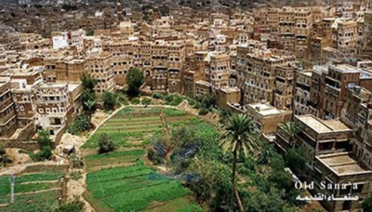 اختتام أنشطة المراكز الصيفية النسوية بمديريات الثورة والصافية والتحرير