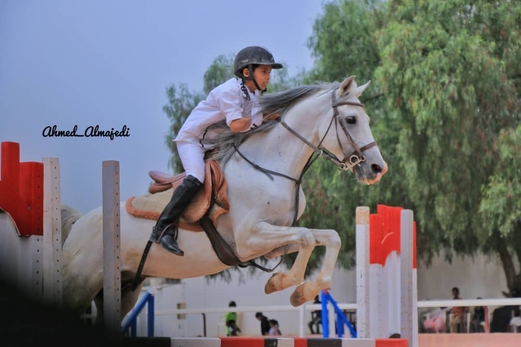 انطلاق بطولة الجواد أرحب لفئات الفروسية بصنعاء