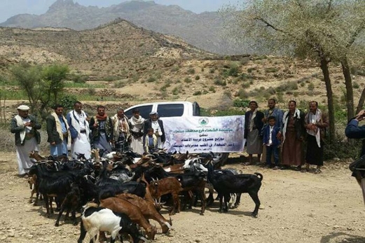 بدء البرنامج التدريبي لتربية ورعاية الماشية بالحديدة